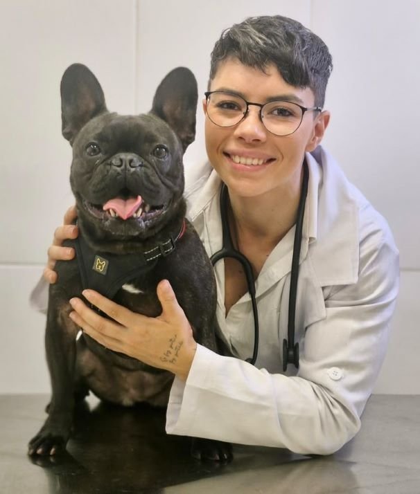 dra larissa silva consulta veterinaria